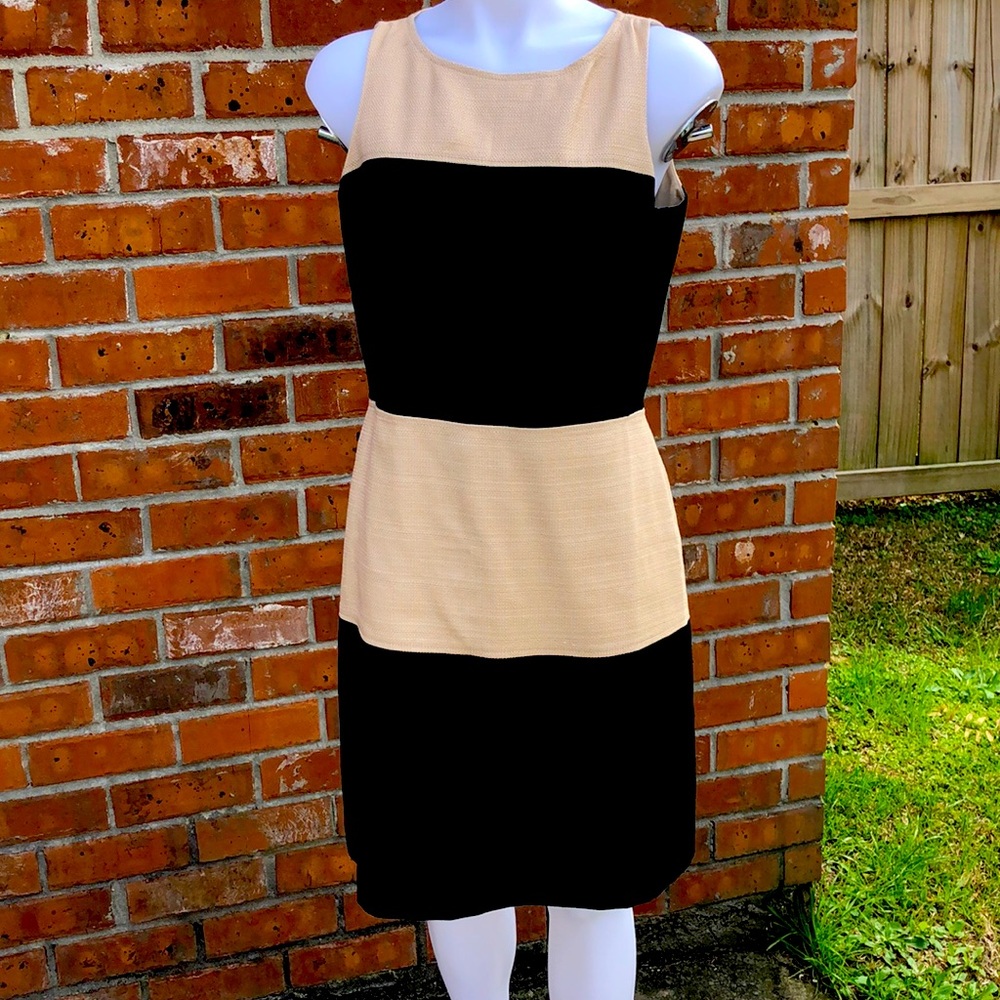 Banana Republic cotton black office dress sz 10